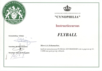 FlyBall